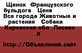 Щенок  Французского бульдога › Цена ­ 35 000 - Все города Животные и растения » Собаки   . Кировская обл.,Лосево д.